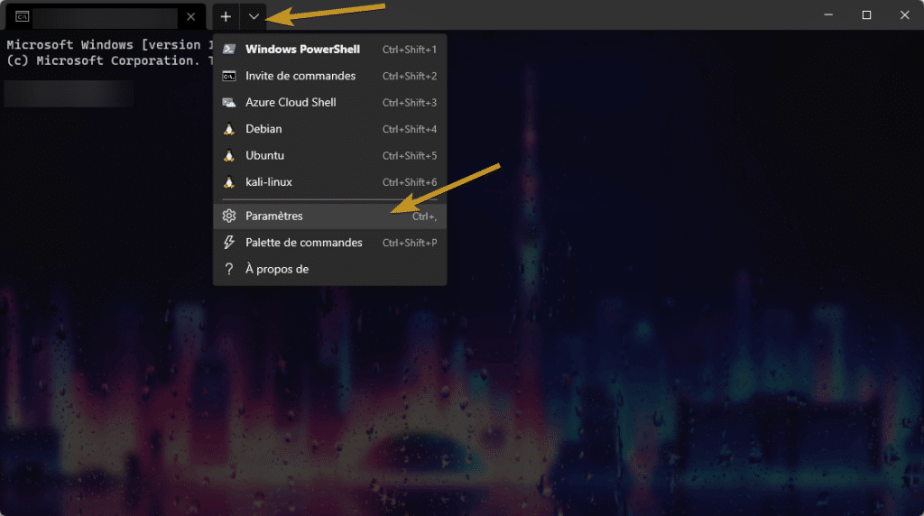 Windows terminal paramètres