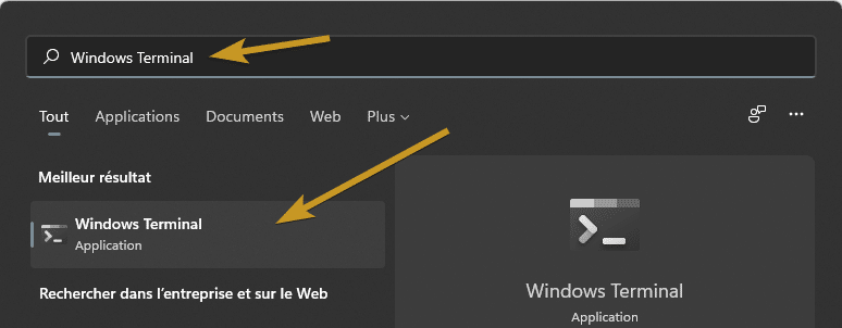 Recherche Windows Terminal