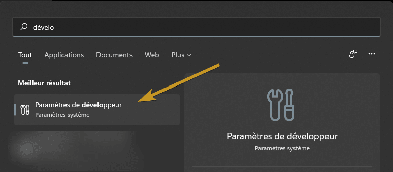 paramètres de développeur