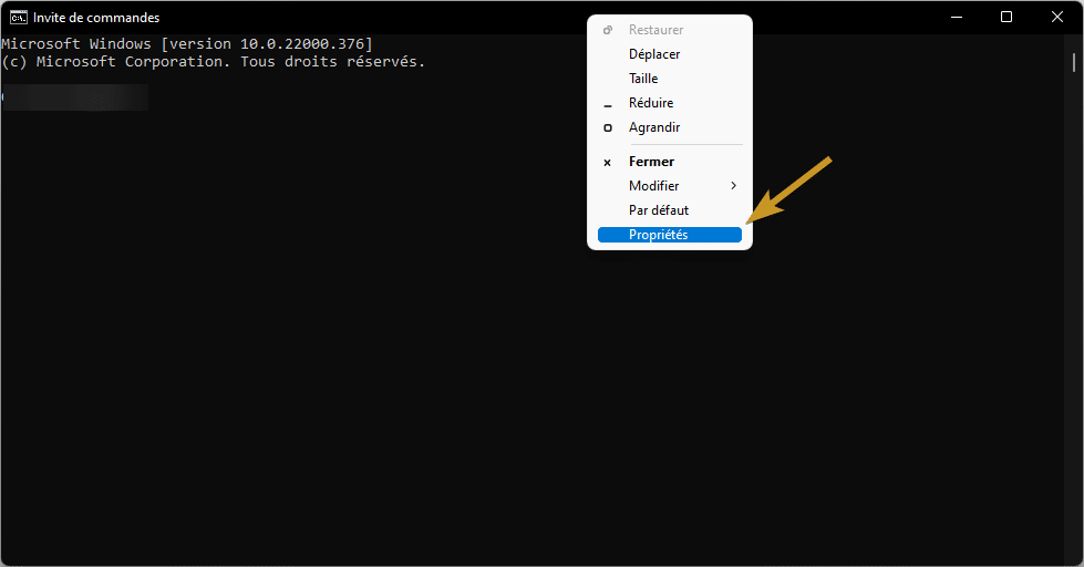 Propriétés Invite de commandes